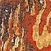 b-davanal-1.jpg (4684 bytes)